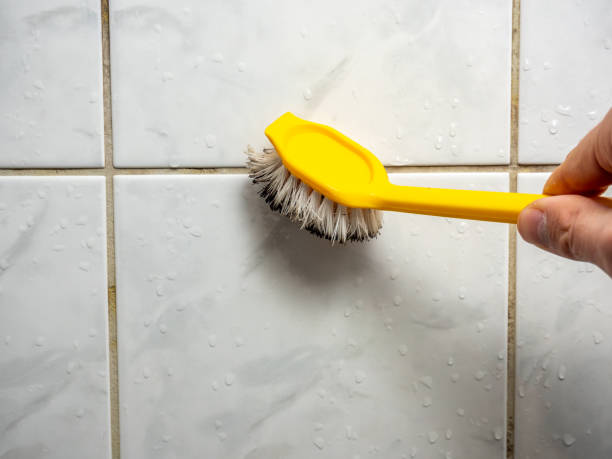 Best Post-Flood Mold Remediation in Kearney, MO